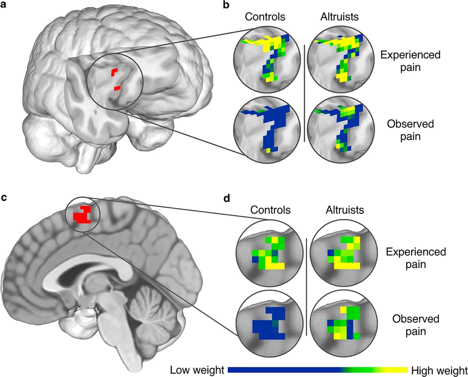 Cross-classification accuracy maps in anterior insula